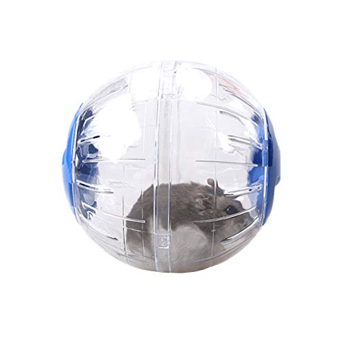 KunLS Hamster Spielzeug Hamsterrad Hamster Zubehör Meerschweinchen Zubehoer Nager Zubehör Hamster Übung Ball Zwerg Hamster Rad Laufrad Hamster Laufrad Für Hamster Blue KunLS Hamster Spielzeug Hamsterrad Hamster Zubehör Meerschweinchen Zubehoer Nager Zubehör Hamster Übung Ball Zwerg Hamster Rad Laufrad Hamster Laufrad Für Hamster Blue von KunLS
