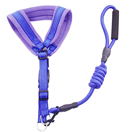 Leine Hund Katzenleine Mit Geschirr Für Katzen Hundegeschirr Katzengeschirr Hundegeschirr Groß Ohne Ziehen Hundegeschirr Kleiner Hund Hundegeschirr Medium No Pull Blue,XL von KunLS