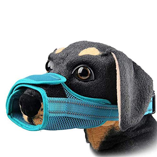 Maulkorb Mittlere Hunde Maulkorb Für Große Hunde Maulkorb Kleine Hunde Hund Mund Abdeckung Anti Bellen Maulkorb Maulkörbe Zu Verhindern Kauen Hund Maulkorb Kleine Green,l Maulkorb Mittlere Hunde Maulkorb Für Große Hunde Maulkorb Kleine Hunde Hund Mund Abdeckung Anti Bellen Maulkorb Maulkörbe Zu Verhindern Kauen Hund Maulkorb Kleine Green,l von KunLS