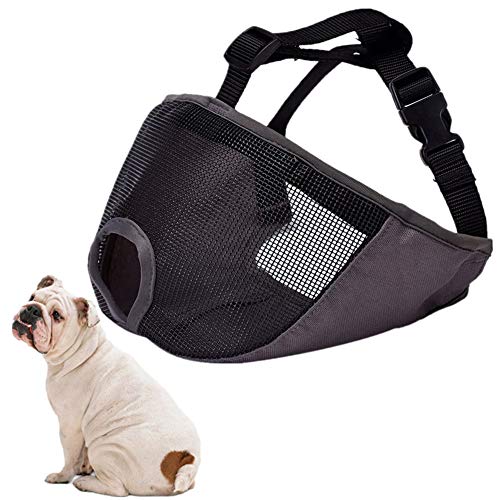 Maulkorb Mittlere Hunde Maulkorb Kleine Hunde Maulkorb Für Große Hunde Maulkorb Für Mittelgroße Hunde Maulkörbe Zu Verhindern Beißen Weiche Maulkorb Hund Mund Abdeckung Gray,s Maulkorb Mittlere Hunde Maulkorb Kleine Hunde Maulkorb Für Große Hunde Maulkorb Für Mittelgroße Hunde Maulkörbe Zu Verhindern Beißen Weiche Maulkorb Hund Mund Abdeckung Gray,s von KunLS