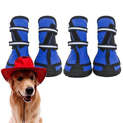 Pfotenschutz Hund Hunde Schuhe Hundeschuhe Pfotenschutz Hund Hundeschuhe Wasserdicht Hundeschuhe Für Kleine Hundeschuhe Für Große Hundeschuhe rutschfest Blue,XL Pfotenschutz Hund Hunde Schuhe Hundeschuhe Pfotenschutz Hund Hundeschuhe Wasserdicht Hundeschuhe Für Kleine Hundeschuhe Für Große Hundeschuhe rutschfest Blue,XL von KunLS