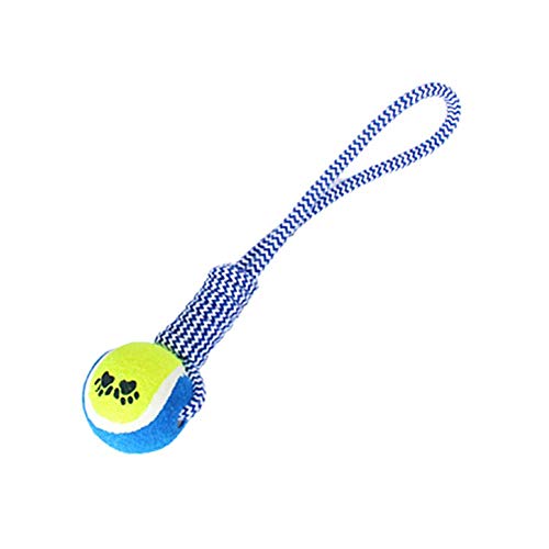 Spielzeug für Hunde Hund Spielzeug Welpenspielzeug Hundespielzeug Hunde Spielzeug Kleine Hunde Welpenspielzeug Ab 8 Wochen Welpen Kauspielzeug Hundespielzeug Welpe Spielzeug für Hunde Hund Spielzeug Welpenspielzeug Hundespielzeug Hunde Spielzeug Kleine Hunde Welpenspielzeug Ab 8 Wochen Welpen Kauspielzeug Hundespielzeug Welpe von KunLS