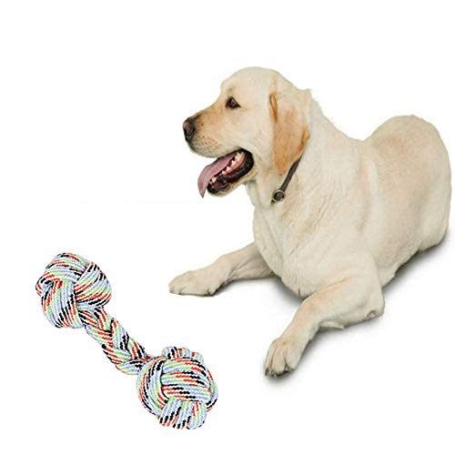 Spielzeug für Hunde Hundespielzeug Große Hunde Welpenspielzeug Hundespielzeug Hunde Spielzeug Kleine Hunde Welpenspielzeug Ab 8 Wochen Seil Hundespielzeug Hundespielzeug Welpe Spielzeug für Hunde Hundespielzeug Große Hunde Welpenspielzeug Hundespielzeug Hunde Spielzeug Kleine Hunde Welpenspielzeug Ab 8 Wochen Seil Hundespielzeug Hundespielzeug Welpe von KunLS