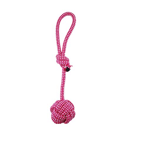 Spielzeug für Hunde Hundespielzeug Welpenspielzeug Hunde Spielzeug Für Welpen Hundespielzeug Für Kleine Hunde Welpen Spielzeug Von 8 Wochen Interaktive Hund Spielzeug Spielzeug für Hunde Hundespielzeug Welpenspielzeug Hunde Spielzeug Für Welpen Hundespielzeug Für Kleine Hunde Welpen Spielzeug Von 8 Wochen Interaktive Hund Spielzeug von KunLS