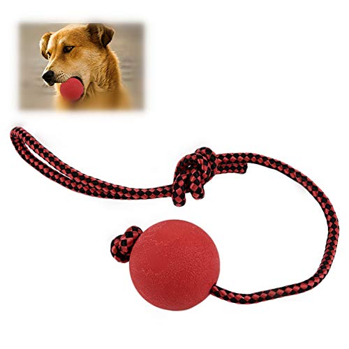 Spielzeug für Hunde Spielzeug Hund Welpenspielzeug Hundespielzeug Hunde Spielzeug Hund Kauen Spielzeug Welpen Zahnen Spielzeug Hund Spielzeug Für Langeweile Tough Hund Spielzeug Spielzeug für Hunde Spielzeug Hund Welpenspielzeug Hundespielzeug Hunde Spielzeug Hund Kauen Spielzeug Welpen Zahnen Spielzeug Hund Spielzeug Für Langeweile Tough Hund Spielzeug von KunLS