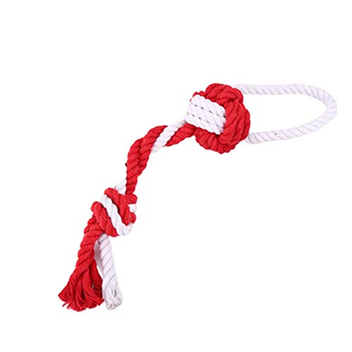 Spielzeug für Hunde Welpenspielzeug Hundespielzeug Spielzeug Für Hunde Spielzeug Hundespielzeug Welpe Hunde Spielzeug Kleine Hunde Spielzeug FüR Welpen red Spielzeug für Hunde Welpenspielzeug Hundespielzeug Spielzeug Für Hunde Spielzeug Hundespielzeug Welpe Hunde Spielzeug Kleine Hunde Spielzeug FüR Welpen red von KunLS