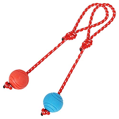 Spielzeug für Hunde Welpenspielzeug Hundespielzeug Unzerstörbar Hunde Spielzeug Für Große Hunde Welpen Kauspielzeug Hundespielzeug Seil 2pcs Spielzeug für Hunde Welpenspielzeug Hundespielzeug Unzerstörbar Hunde Spielzeug Für Große Hunde Welpen Kauspielzeug Hundespielzeug Seil 2pcs von KunLS