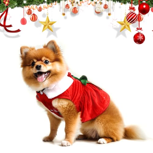 Hunde Weihnachtskostüm, Hundebekleidung & Zubehör Fliege Weihnachtsmann-Anzug, Katzen Weihnachtskostüm Santa Kostüm, Hund Weihnachten Geschenke Haustier Cosplay Kostüme Kleine Größe von Kungfu Mall