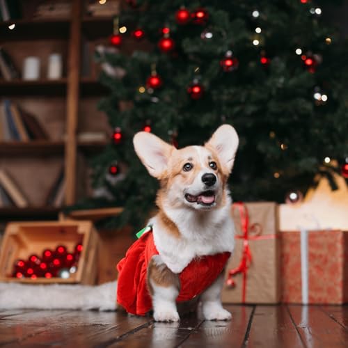 Hunde Weihnachtskostüm, Hundebekleidung & Zubehör Fliege Weihnachtsmann-Anzug, Katzen Weihnachtskostüm Santa Kostüm, Hund Weihnachten Geschenke Haustier Cosplay Kostüme Mittlere Größe von Kungfu Mall