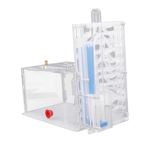 Kuntesetty Ameisenhabitat Aus Transparentem Acryl mit Futterbereich Und Belüftung für Wissenschaft Und Lehre, Weiß Kuntesetty Ameisenhabitat Aus Transparentem Acryl mit Futterbereich Und Belüftung für Wissenschaft Und Lehre, Weiß von Kuntesetty