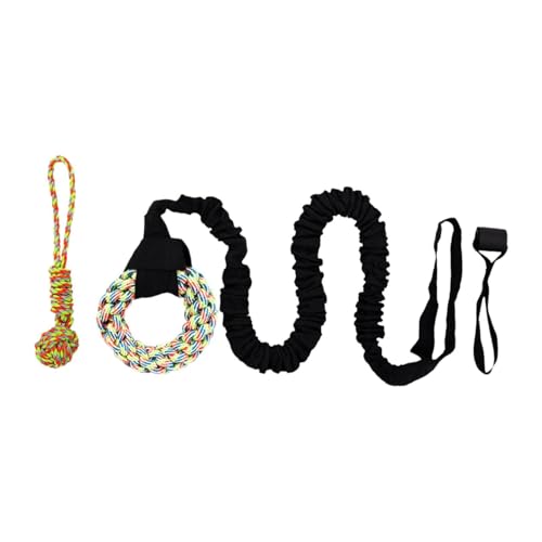 Kuntesetty Bungee-Hundespielzeug für draußen, interaktive Spielkordel zum Aufhängen an Bäumen, geeignet für große Hunde, Bunter Ring Kuntesetty Bungee-Hundespielzeug für draußen, interaktive Spielkordel zum Aufhängen an Bäumen, geeignet für große Hunde, Bunter Ring von Kuntesetty