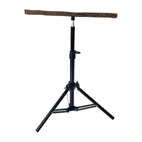 Kuntesetty Holz Papagei Barsch Interaktive Spielzeug Pet Supplies für Aras Kleine Vogel Finken Kuntesetty Holz Papagei Barsch Interaktive Spielzeug Pet Supplies für Aras Kleine Vogel Finken von Kuntesetty