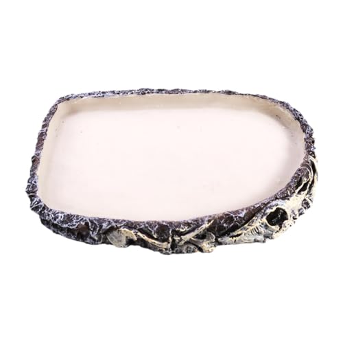 Kuntesetty Reptilienfutter Schüssel Schlange Haustier Aquarium Ornament Frosch Terrarium Wasserschale Kuntesetty Reptilienfutter Schüssel Schlange Haustier Aquarium Ornament Frosch Terrarium Wasserschale von Kuntesetty