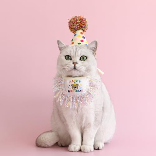 Kunyeah 2-teiliges Haustier-Hut, Schal, Set für Welpen, Prinzessinnen, niedliches Katzen-Bandana-Outfit, Hundekegel, Hut mit Bommel, buntes Spitzen-Lätzchen, Halsband, Haustier-Geburtstagsdekoration Kunyeah 2-teiliges Haustier-Hut, Schal, Set für Welpen, Prinzessinnen, niedliches Katzen-Bandana-Outfit, Hundekegel, Hut mit Bommel, buntes Spitzen-Lätzchen, Halsband, Haustier-Geburtstagsdekoration von Kunyeah