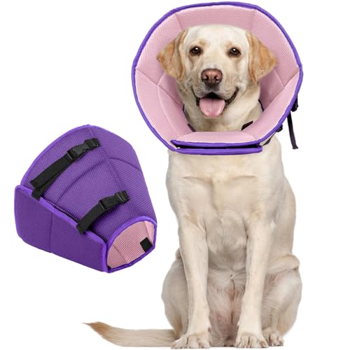 Kuoser Halskrause Hund, Bequem Leckschutz Hund,Schutzmaßnahmen Schutzkragen Hund, Einstellbar Hundekragen, Hunde Halskrause Leckschutz für Hunde, Vorbeugung von Biss- und Leckwunden,Lila XL Kuoser Halskrause Hund, Bequem Leckschutz Hund,Schutzmaßnahmen Schutzkragen Hund, Einstellbar Hundekragen, Hunde Halskrause Leckschutz für Hunde, Vorbeugung von Biss- und Leckwunden,Lila XL von Kuoser