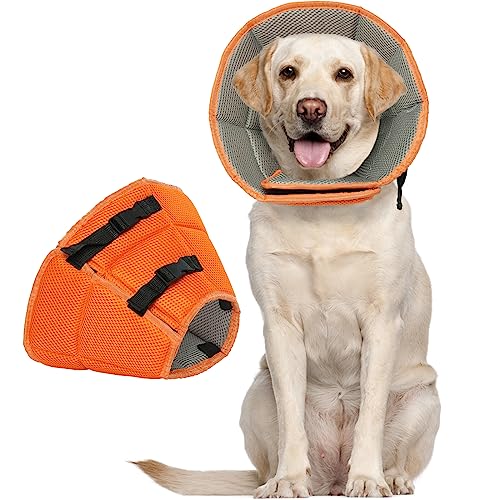 Kuoser Halskrause Hund, Bequem Leckschutz Hund,Schutzmaßnahmen Schutzkragen Hund, Einstellbar Hundekragen, Hunde Halskrause Leckschutz für Hunde, Vorbeugung von Biss- und Leckwunden,Orange L Kuoser Halskrause Hund, Bequem Leckschutz Hund,Schutzmaßnahmen Schutzkragen Hund, Einstellbar Hundekragen, Hunde Halskrause Leckschutz für Hunde, Vorbeugung von Biss- und Leckwunden,Orange L von Kuoser
