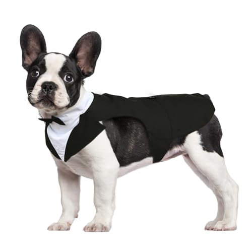 Kuoser Hund Smoking Anzug & Bandana Set, Haustier Fomal Kleidung Hunde Mantel mit Abnehmbarer Fliege, Hundeanzug Welpe Kostüm Shirt für Hochzeit Halloween Geburtstag Party, S-XXL von Kuoser