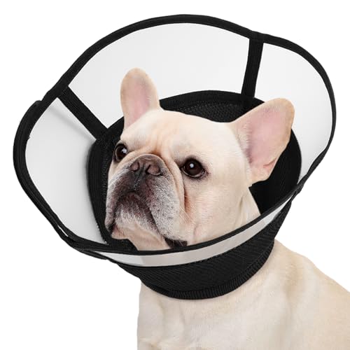 Kuoser Halskrause Hund Weich, Leckschutz Schutzkragen Hund, Comfy Cone Hund, Einstellbarer Halskrause für Hunde Nach op, Atmungsaktive Haustier Elisabethanischer, Halskrause Katze, Schwarz, M von Kuoser