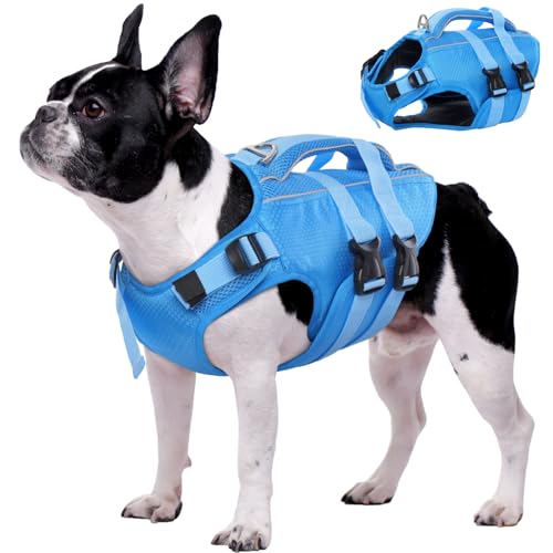 Kuoser Hunde Schwimmweste für Kleine Mittel Große Hunde, Verstellbar & Ripstop Rettungsweste mit Rettungsgrif, Hoher Schwimmfähigkeit Haustier Lebensretter Welpen Badeanzüge für Strand Blau XS von Kuoser
