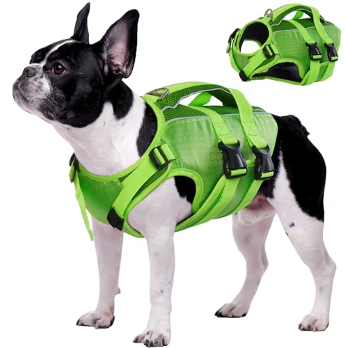 Kuoser Hunde Schwimmweste für kleine mittel große Hunde, Verstellbar & Ripstop Hunde Rettungsweste mit Rettungsgrif, Hoher Schwimmfähigkeit Haustier Lebensretter Welpen Badeanzüge für Strand Green XS von Kuoser