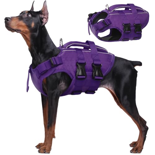 Kuoser Hunde Schwimmweste für kleine mittel große Hunde, Verstellbar & Ripstop Rettungsweste mit Rettungsgrif, Hoher Schwimmfähigkeit Haustier Lebensretter Welpen Badeanzüge für Strand Lila XL Kuoser Hunde Schwimmweste für kleine mittel große Hunde, Verstellbar & Ripstop Rettungsweste mit Rettungsgrif, Hoher Schwimmfähigkeit Haustier Lebensretter Welpen Badeanzüge für Strand Lila XL von Kuoser