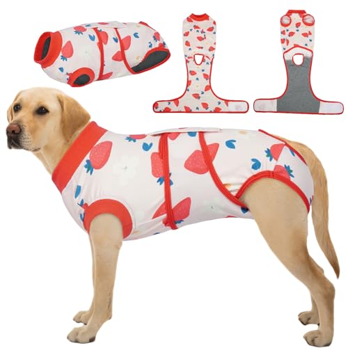 Kuoser Hundebody Nach OP XXL, Atmungsaktiver OP-Body für Hündin, Anti-Leck Body nach Kastration, Alternative zum Halskragen, Katzenbody & Hundebody nach Operation, Rot mit Erdbeer-Muster Kuoser Hundebody Nach OP XXL, Atmungsaktiver OP-Body für Hündin, Anti-Leck Body nach Kastration, Alternative zum Halskragen, Katzenbody & Hundebody nach Operation, Rot mit Erdbeer-Muster von Kuoser