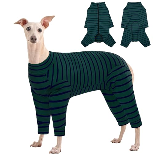 Kuoser Hundebody Nach Op, Hundebody Nach Kastration, Op Body Hund Kastration Hündin, Hundebody Mit Beinen, Body Für Hunde Nach Op,Hundepyjama für Kleine Mittelgroße Hunde Grün XXL Kuoser Hundebody Nach Op, Hundebody Nach Kastration, Op Body Hund Kastration Hündin, Hundebody Mit Beinen, Body Für Hunde Nach Op,Hundepyjama für Kleine Mittelgroße Hunde Grün XXL von Kuoser