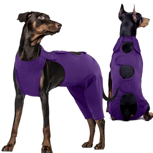 Kuoser Hundebody Nach Op, Hundebody Nach op Body für Hund Kastration Rüde Hündin, Erholungsanzug Hund, Hundeschenkel Schutz Bodysuit, Anti-Wundlecken Op Body Hunde, Hund Halskrause Alternative,Lila L Kuoser Hundebody Nach Op, Hundebody Nach op Body für Hund Kastration Rüde Hündin, Erholungsanzug Hund, Hundeschenkel Schutz Bodysuit, Anti-Wundlecken Op Body Hunde, Hund Halskrause Alternative,Lila L von Kuoser