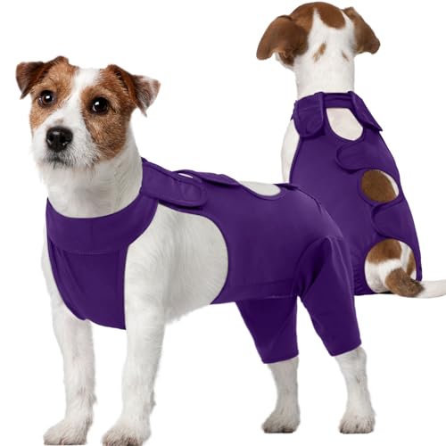 Kuoser Hundebody Nach Op, Hundebody Nach op Body für Hund Kastration Rüde Hündin, Erholungsanzug Hund, Hundeschenkel Schutz Bodysuit, Anti-Wundlecken Op Body Hunde, Hund Halskrause Alternative,Lila M Kuoser Hundebody Nach Op, Hundebody Nach op Body für Hund Kastration Rüde Hündin, Erholungsanzug Hund, Hundeschenkel Schutz Bodysuit, Anti-Wundlecken Op Body Hunde, Hund Halskrause Alternative,Lila M von Kuoser