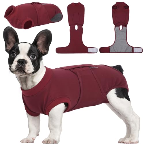 Kuoser Hundebody nach OP, OP-Body für Rüde & Hündin, Schutzanzug nach Kastration, Anti-Leck Body für Hunde, Alternative zum Halskragen, Dunkelrot M Kuoser Hundebody nach OP, OP-Body für Rüde & Hündin, Schutzanzug nach Kastration, Anti-Leck Body für Hunde, Alternative zum Halskragen, Dunkelrot M von Kuoser