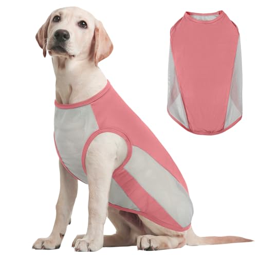 Kuoser Kühlweste Hund, L Hundekühlweste Sommer, UV-Schutz Shirt, Atmungsaktive Kühljacke, Leichte Sonnenschutz-Bekleidung, Insektenschutz für Outdoor, Must-Have für heiße Tage, Rosa Kuoser Kühlweste Hund, L Hundekühlweste Sommer, UV-Schutz Shirt, Atmungsaktive Kühljacke, Leichte Sonnenschutz-Bekleidung, Insektenschutz für Outdoor, Must-Have für heiße Tage, Rosa von Kuoser