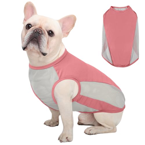 Kuoser Kühlweste Hund, S Hundekühlweste Sommer, UV-Schutz Shirt, Atmungsaktive Kühljacke, Leichte Sonnenschutz-Bekleidung, Insektenschutz für Outdoor, Must-Have für heiße Tage, Rosa Kuoser Kühlweste Hund, S Hundekühlweste Sommer, UV-Schutz Shirt, Atmungsaktive Kühljacke, Leichte Sonnenschutz-Bekleidung, Insektenschutz für Outdoor, Must-Have für heiße Tage, Rosa von Kuoser