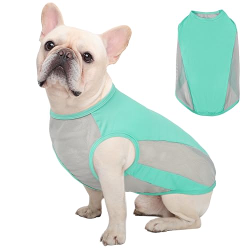 Kuoser Kühlweste Hund, XS Hundekühlweste Sommer, UV-Schutz Shirt, Atmungsaktive Kühljacke, Leichte Sonnenschutz-Bekleidung, Insektenschutz für Outdoor, Must-Have für heiße Tage, Blau Kuoser Kühlweste Hund, XS Hundekühlweste Sommer, UV-Schutz Shirt, Atmungsaktive Kühljacke, Leichte Sonnenschutz-Bekleidung, Insektenschutz für Outdoor, Must-Have für heiße Tage, Blau von Kuoser