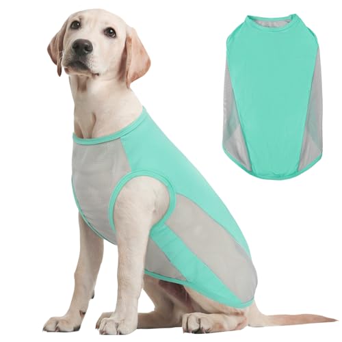 Kuoser Kühlweste Hund, XXL Hundekühlweste Sommer, UV-Schutz Shirt, Atmungsaktive Kühljacke, Leichte Sonnenschutz-Bekleidung, Insektenschutz für Outdoor, Must-Have für heiße Tage, Blau Kuoser Kühlweste Hund, XXL Hundekühlweste Sommer, UV-Schutz Shirt, Atmungsaktive Kühljacke, Leichte Sonnenschutz-Bekleidung, Insektenschutz für Outdoor, Must-Have für heiße Tage, Blau von Kuoser