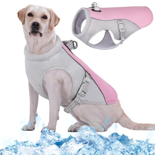 Kuoser Kühlweste für Hunde, Hundekühlungsmantel für heiße Sommertage, Atmungsaktive & Reflektierende Sicherheitsweste für Klein Mittel Hunde, Kühljacke für Aktivitäten Draußen Wandern Training von Kuoser