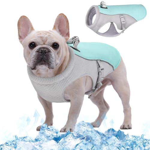 Kuoser Kühlweste für Hunde, Hundekühlungsmantel für heiße Sommertage, Atmungsaktive & Reflektierende Sicherheitsweste für Klein Mittel Hunde, Kühljacke für Aktivitäten Draußen Wandern Training Blau von Kuoser