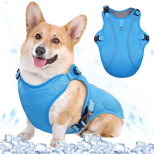 Kuoser Kühlweste Hund, Kühlweste für Hunde,Kühlmantel für Hunde, Kühlmantel Hund,Belüftet Kühljacke für Hunde, Hunde Kühlweste Aktivitäten Draußen Wandern Training Blau M Kuoser Kühlweste Hund, Kühlweste für Hunde,Kühlmantel für Hunde, Kühlmantel Hund,Belüftet Kühljacke für Hunde, Hunde Kühlweste Aktivitäten Draußen Wandern Training Blau M von Kuoser