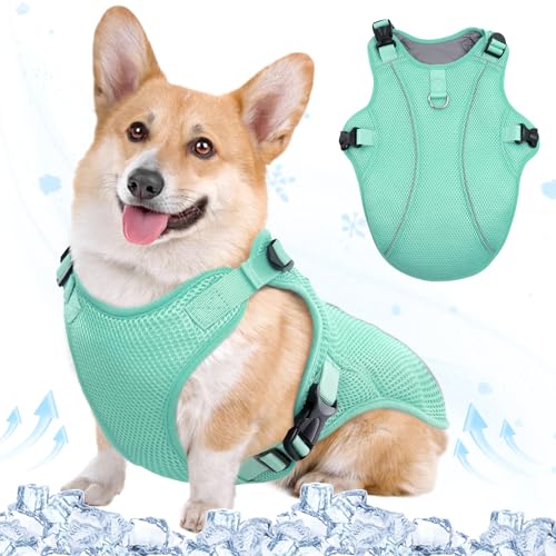 Kuoser Kühlweste Hund, Kühlweste für Hunde,Kühlmantel für Hunde, Kühlmantel Hund,Belüftet Kühljacke für Hunde, Hunde Kühlweste Aktivitäten Draußen Wandern Training Grün M Kuoser Kühlweste Hund, Kühlweste für Hunde,Kühlmantel für Hunde, Kühlmantel Hund,Belüftet Kühljacke für Hunde, Hunde Kühlweste Aktivitäten Draußen Wandern Training Grün M von Kuoser