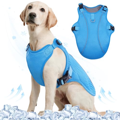 Kuoser Kühlweste Hund, Kühlweste für Hunde,Kühlmantel für Hunde, Kühlmantel Hund,Belüftet Kühljacke für Hunde, Hunde Kühlweste Aktivitäten Draußen Wandern Training Blau L Kuoser Kühlweste Hund, Kühlweste für Hunde,Kühlmantel für Hunde, Kühlmantel Hund,Belüftet Kühljacke für Hunde, Hunde Kühlweste Aktivitäten Draußen Wandern Training Blau L von Kuoser