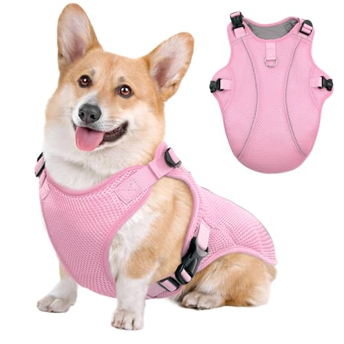 Kuoser S Kühlweste Hund Atmungsaktiv, Kühlmantel für Hunde kühlend, Belüftete Kühljacke Outdoor Aktivitäten Draußen Wandern Training Sommer Spaziergänge Hitze, Leichte Hunde Weste Schnell Rosa von Kuoser