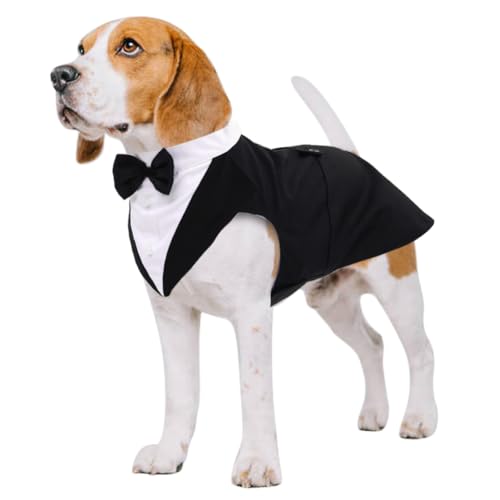 Kuoser Hund Smoking Anzug & Bandana Set, Haustier Fomal Kleidung Hunde Mantel mit Abnehmbarer Fliege, Hundeanzug Welpe Kostüm Shirt für Hochzeit Halloween Geburtstag Party, S-XXL Kuoser Hund Smoking Anzug & Bandana Set, Haustier Fomal Kleidung Hunde Mantel mit Abnehmbarer Fliege, Hundeanzug Welpe Kostüm Shirt für Hochzeit Halloween Geburtstag Party, S-XXL von Kuoser