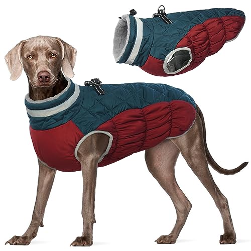 Kuoser Wärme hundemantel, Winddicht hundejacke, Reflektierend hundemantel für kleine Hunde, hundemantel Winter Draußen, Hundemantel Grosse Hunde Mit Reißverschluss Blau XXXL von Kuoser