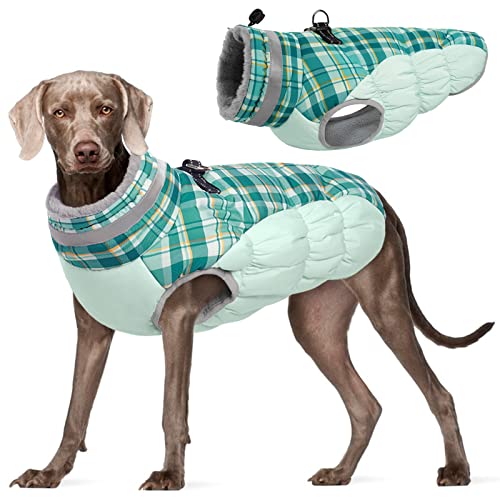 Kuoser Warme Hundejacke, Reflektierende Winddichte Hundemantel für Kleine und Große Hunde, Wintermantel Mit Geschirr, Grün XXL von Kuoser