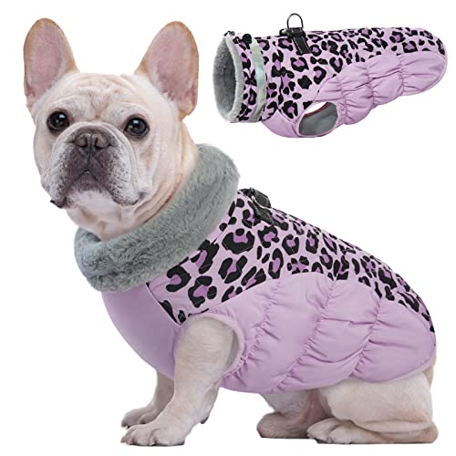 Kuoser Warme Hundejacke, Reflektierende Winddichte Hundemantel für Kleine und Große Hunde, Wintermantel Mit Geschirr, Lila XS von Kuoser