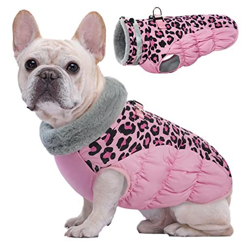 Kuoser Warme Hundejacke, Reflektierende Hundemantel, Winddichte Hundemantel für Kleine Hunde,Moden Hundemantel Grosse Hunde, Hunde Wintermantel, Hundemantel Mit Geschirr Rosa M Kuoser Warme Hundejacke, Reflektierende Hundemantel, Winddichte Hundemantel für Kleine Hunde,Moden Hundemantel Grosse Hunde, Hunde Wintermantel, Hundemantel Mit Geschirr Rosa M von Kuoser