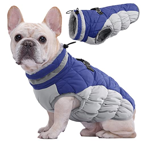 Kuoser Hundejacke Hundemantel für Kleine Hunde Winterweste, Wasserdicht Hunde Wintermantel Jacke Winter Hunde Mantel Mit Geschirr Warme Winterjacke Hundepullover Haustier Skifahren Kostüm Blau, XS Kuoser Hundejacke Hundemantel für Kleine Hunde Winterweste, Wasserdicht Hunde Wintermantel Jacke Winter Hunde Mantel Mit Geschirr Warme Winterjacke Hundepullover Haustier Skifahren Kostüm Blau, XS von Kuoser