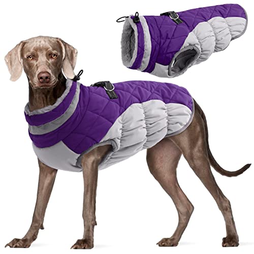 Kuoser Hundejacke Wintermantel für Mittelgroße Hunde - Wasserdichte Winterweste Mit Geschirr - Warme Jacke Hundepullover Haustier Skifahren Kostüm Lila, L von Kuoser