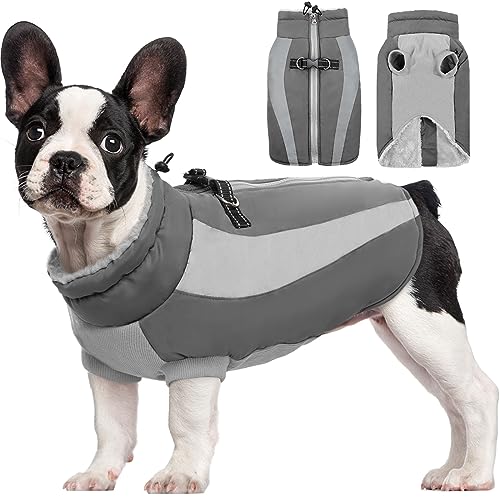 Kuoser Extras Wärme Hundemantel, Winddicht Hundejacke, Reflektierend Hundemantel Grosse Hunde, Hundemantel Winter, Moden Wintermantel Hund, Hundemantel Wasserdicht Grau L Kuoser Extras Wärme Hundemantel, Winddicht Hundejacke, Reflektierend Hundemantel Grosse Hunde, Hundemantel Winter, Moden Wintermantel Hund, Hundemantel Wasserdicht Grau L von Kuoser