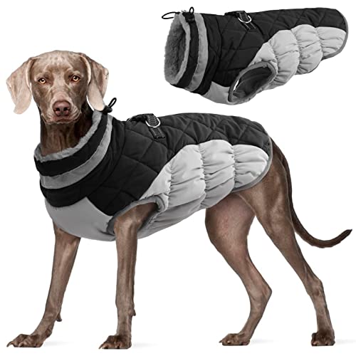 Kuoser Hundejacke Wintermantel für Mittelgroße Hunde - Wasserdichte Winterweste Mit Geschirr - Warme Jacke Hundepullover Haustier Skifahren Kostüm Schwarz, L Kuoser Hundejacke Wintermantel für Mittelgroße Hunde - Wasserdichte Winterweste Mit Geschirr - Warme Jacke Hundepullover Haustier Skifahren Kostüm Schwarz, L von Kuoser