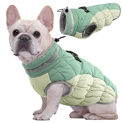 Kuoser Wärme hundemantel, Winddicht hundejacke, Reflektierend hundemantel für kleine Hunde, hundemantel Winter Draußen, Hundemantel Grosse Hunde Mit Reißverschlussl Mit Reißverschluss Grün M Kuoser Wärme hundemantel, Winddicht hundejacke, Reflektierend hundemantel für kleine Hunde, hundemantel Winter Draußen, Hundemantel Grosse Hunde Mit Reißverschlussl Mit Reißverschluss Grün M von Kuoser